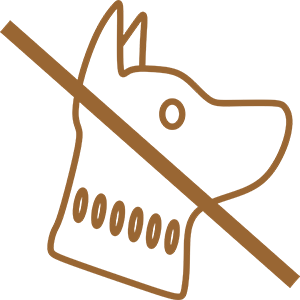 no dogs